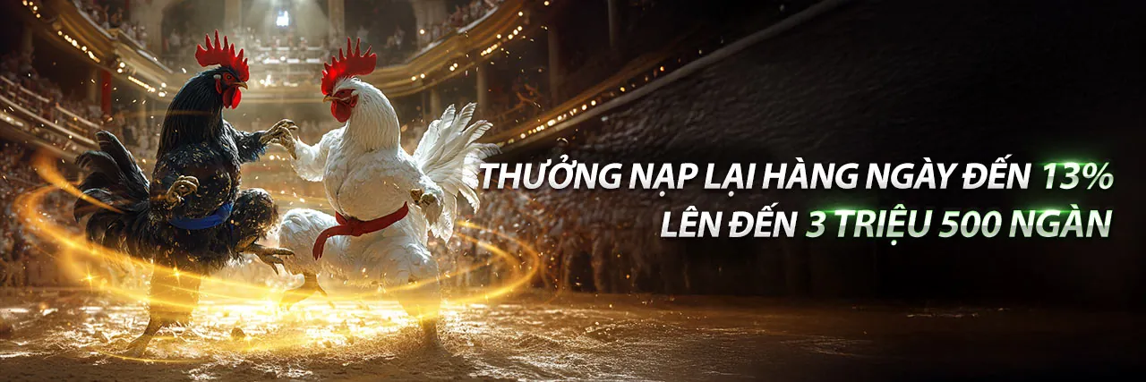 Đá Gà Trực Tuyến 99kk nổ hũ - Sân Đấu Quyết Liệt